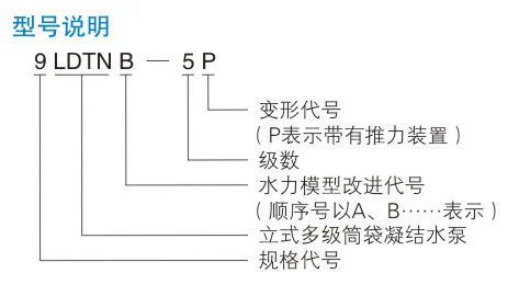 LDTN型凝榴莲视频APP污下载