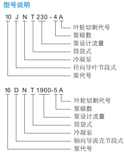 JNT型凝榴莲视频APP污下载